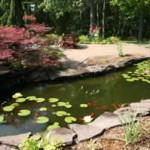 Rectangular water garden